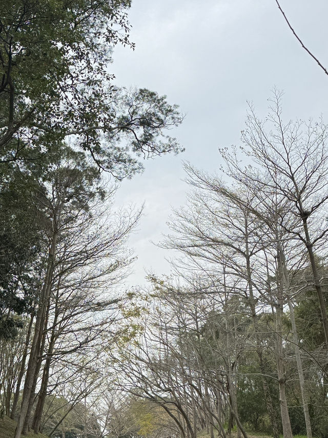 飛牛牧場