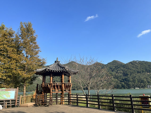 도심 속 힐링 숲길🌿 부산 회동수원지 공원 산책길