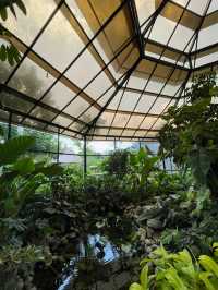 Magic Garden in Nuanu