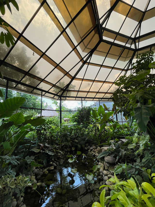 Magic Garden in Nuanu