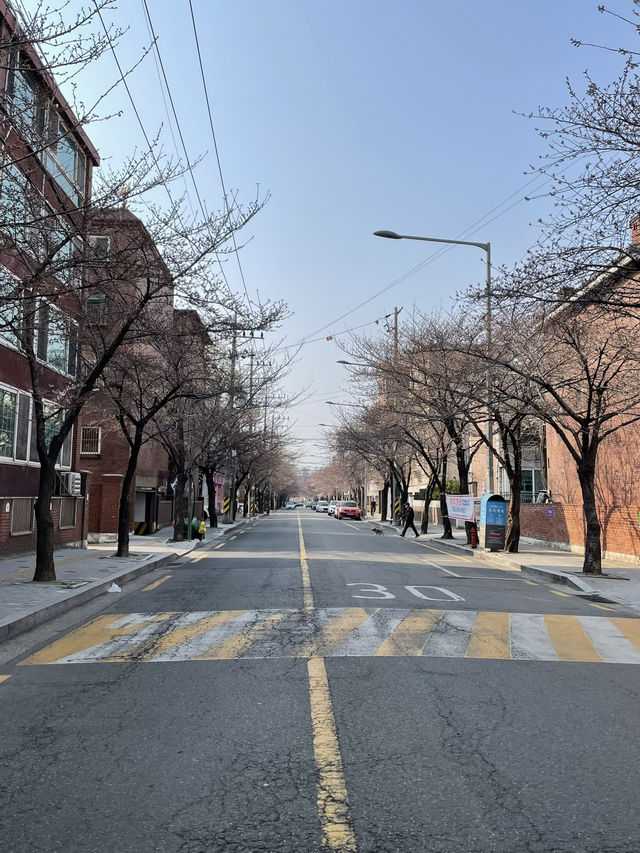 Seoul in April