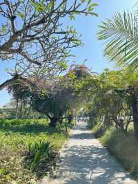 Cycling Along Sanur Beach: A Perfect Day Out