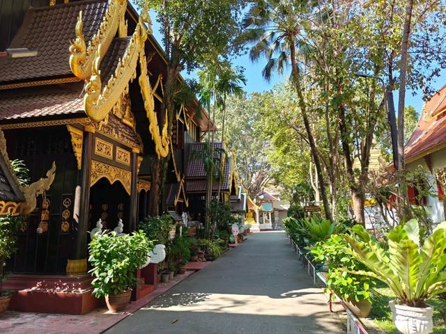 Temple Hopping Like a Pro in Mueang