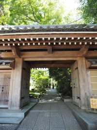 【鎌倉】報国寺の竹林