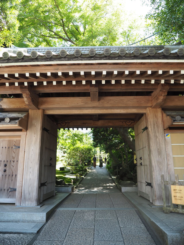 【鎌倉】報国寺の竹林
