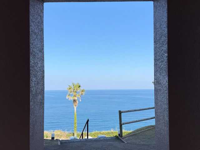 【宮崎】モアイ像と海の絶景🌊サンメッセ日南で南国気分の旅！