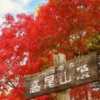 Conquer Mount Takao: Tokyo’s Best Summer Escape for Solo Adventurers"** 🌿⛰️