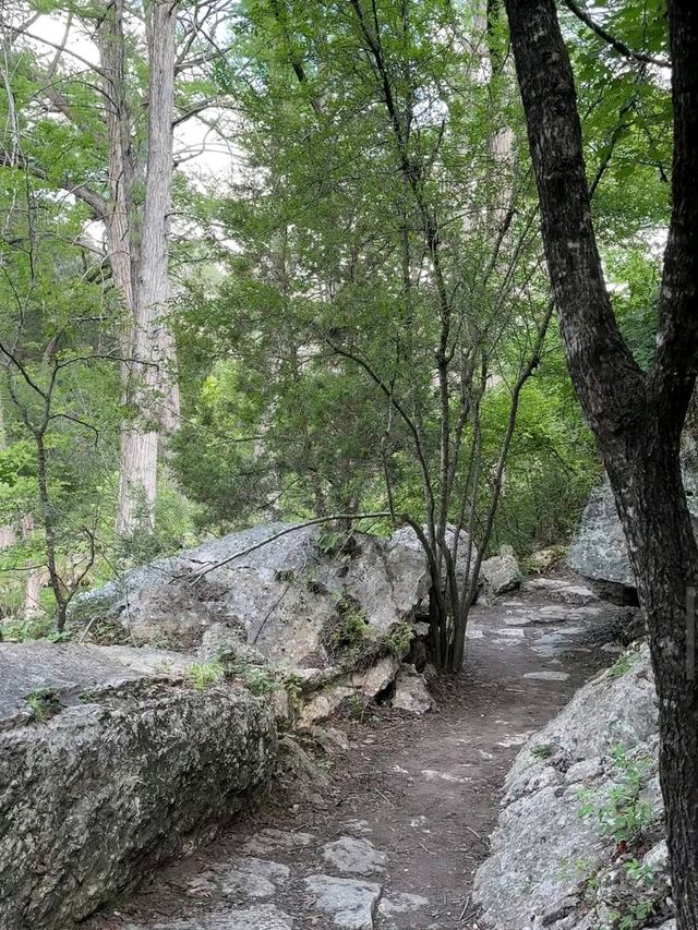 Hamilton Pool Preserve – Dripping Springs