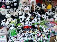 Kuanzhai Alley – Chengdu’s Living Memory Lane