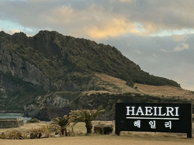 성산일출봉이 펼쳐지는 오션뷰 카페 해일리 🤎