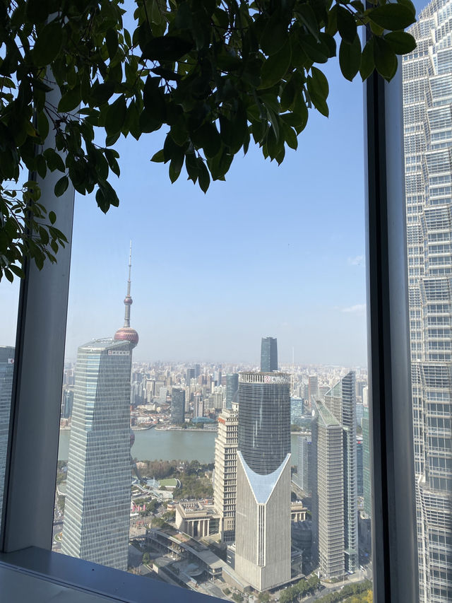 Shanghai Duoyun Bookstore - above the clouds!