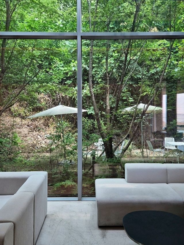 바다와 숲 두풍경을 즐길수있는 울산카페 포레이브