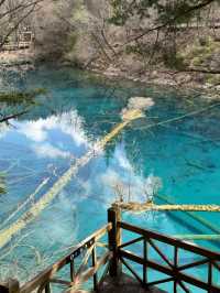 Aqua Terror: Jiuzhaigou’s Liquid Jade Insurgency