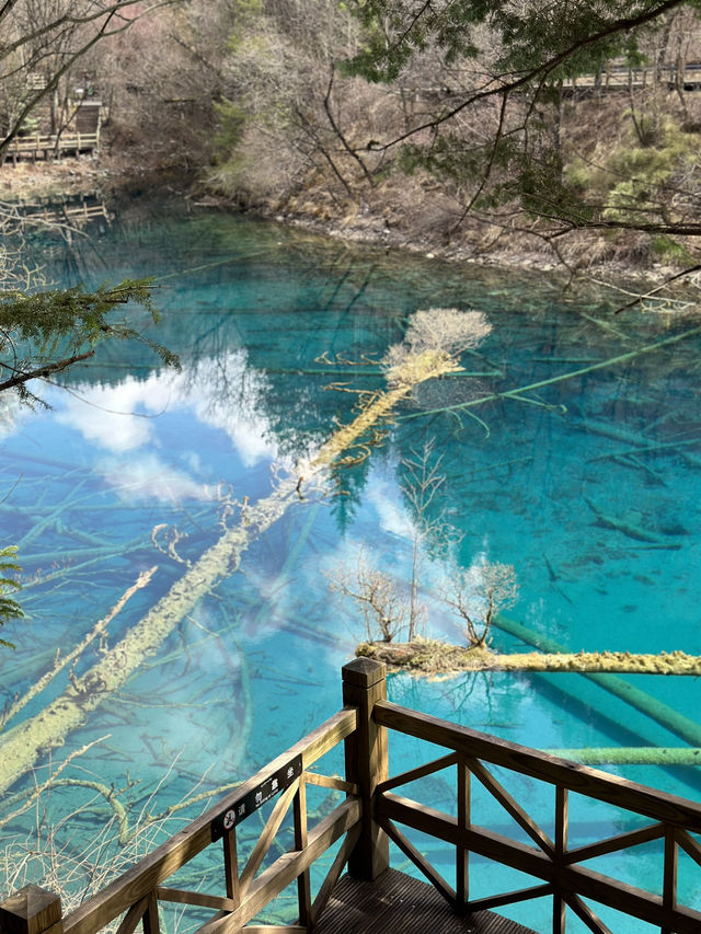 Aqua Terror: Jiuzhaigou’s Liquid Jade Insurgency