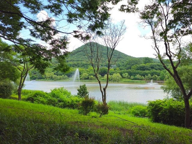 인천대공원 이쁜곳