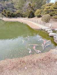 高松必去 - 栗林公園  感受江戶時代風情🌳