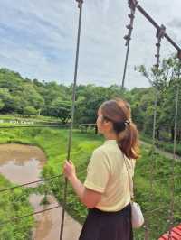🌋 Kradong Volcano – Walk an Ancient Volcano in Buriram 🇹🇭