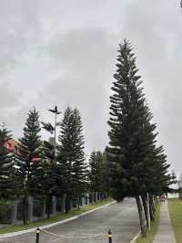 Where in Tags? - Sponty Tagaytay Trip.