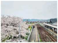 Ukiha : เมืองเล็กๆที่เหมือนอยู่ในโลกอนิเมะ