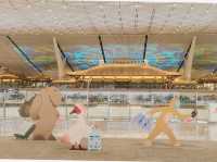 ท่าอากาศยานนานาชาติซีอานเสียนหยาง Terminal 5 