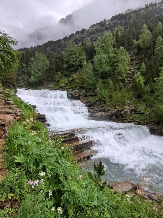 Waterfalls and Forest Feels on the Ruta a la Cola de Caballo