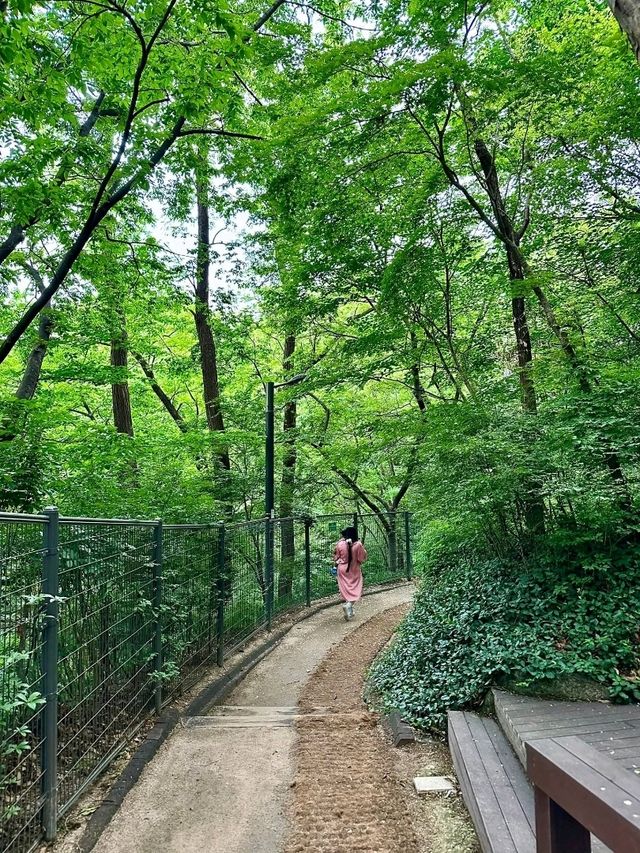 Park Trail