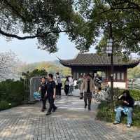 🌅 West Lake (西湖): A Grand Stage of Nature and Culture