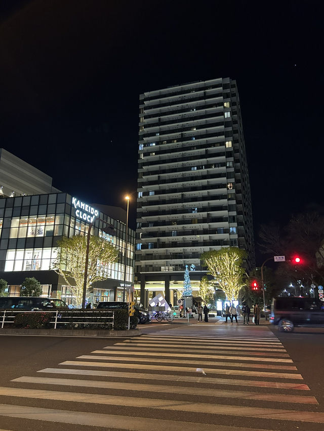 Tokyo 2025 Itinerary