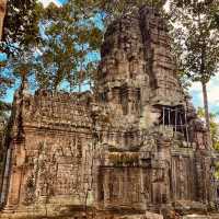 🌿 Ancient Wonders & Solo Adventures: Angkor Wat, Cambodia! 🏛️