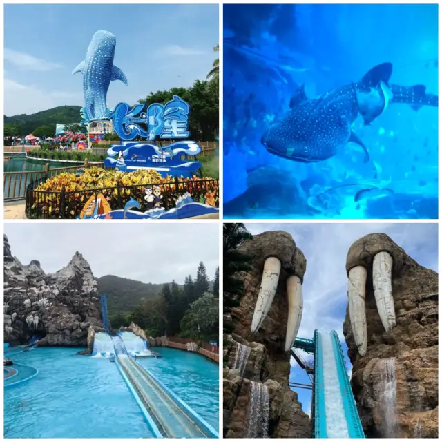 【中國/珠海長隆海洋公園】