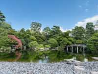 【京都】京都御所で味わう厳かな時間🌿