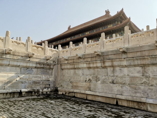 🐉 Nine Dragons in Glazed Glory: A Pause Outside Ning Shou Palace