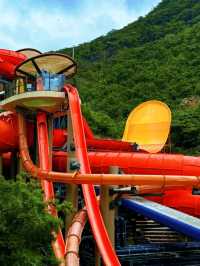 🌊 Water World Ocean Park, Hong Kong – Fun in Every Drop!