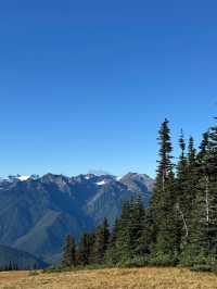 🌲 Olympic National Park Day Trip – Mountains, Lakes, Beaches & Twilight Vibes