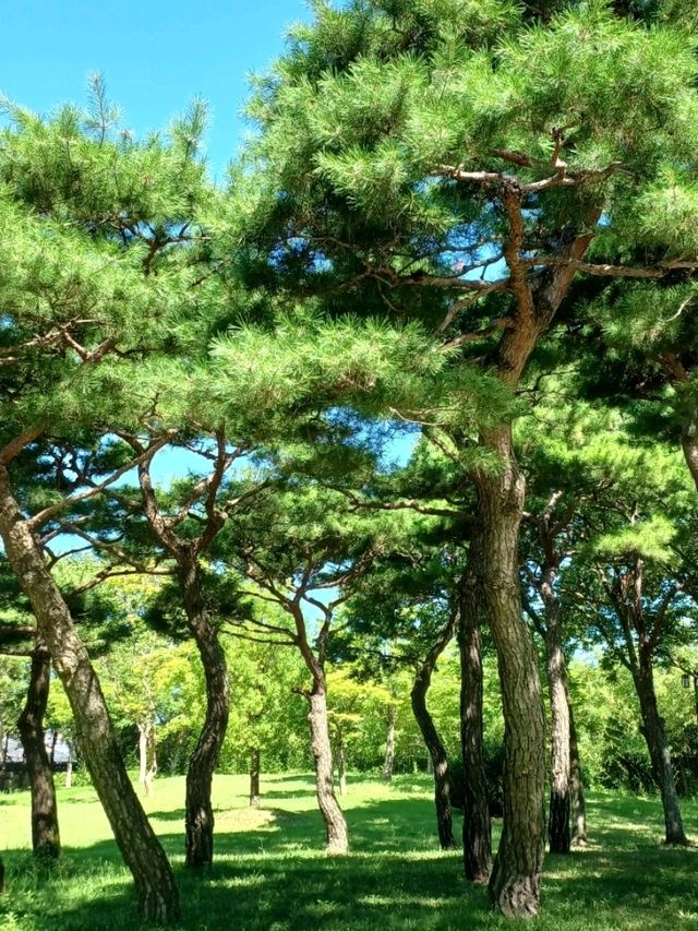 한옥 감성 가득한 데이트 장소