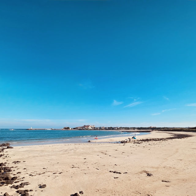 Basecamp for Exploring Seogwipo’s South Coast