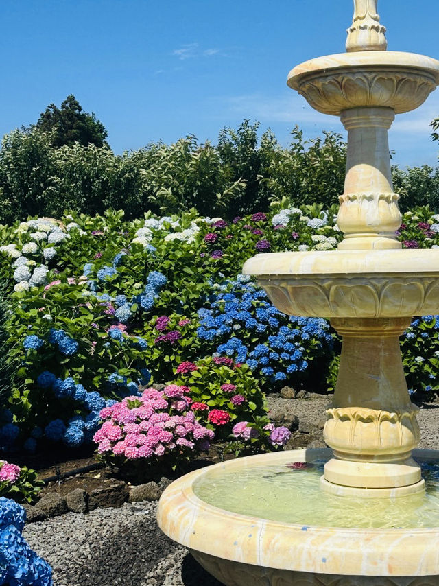 A Rainbow of Blooms in Jeju’s Summer