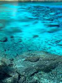 Where Nature Paints with Magic: Discovering Jiuzhaigou