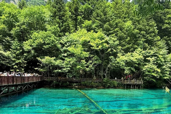 Jiuzhaigou: China's Hidden Paradise of Colors | Trip.com