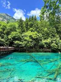 Jiuzhaigou: China’s Hidden Paradise of Colors