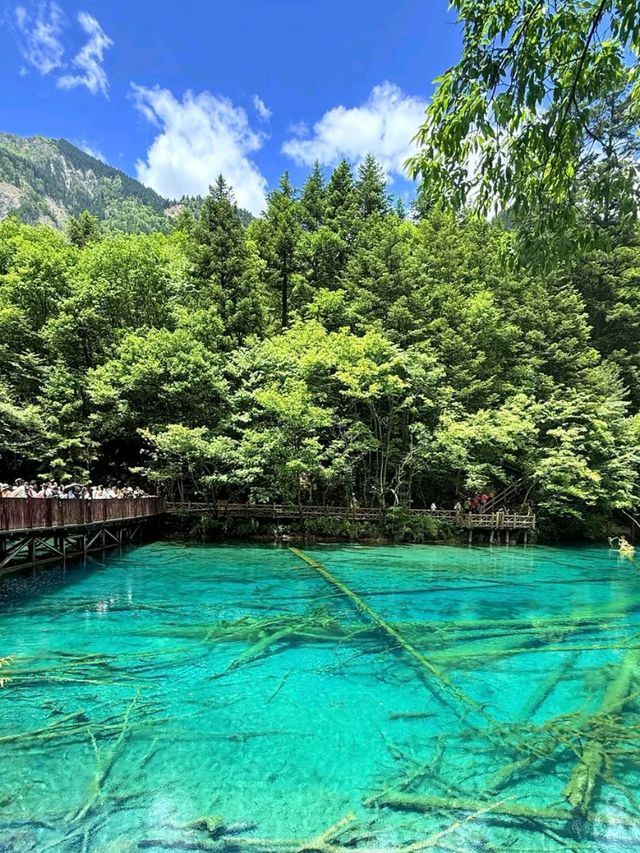Jiuzhaigou: China’s Hidden Paradise of Colors