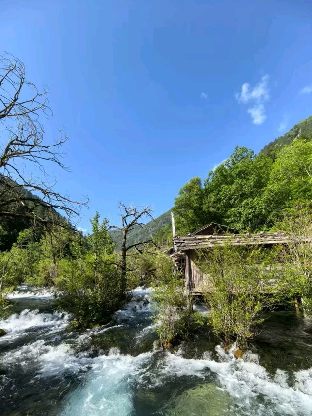 The Enchanted Valley: Exploring the Beauty of Jiuzhaigou