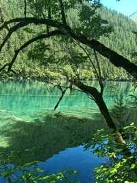 Beautiful Jiuzhaigou: Nature’s Painted Valley