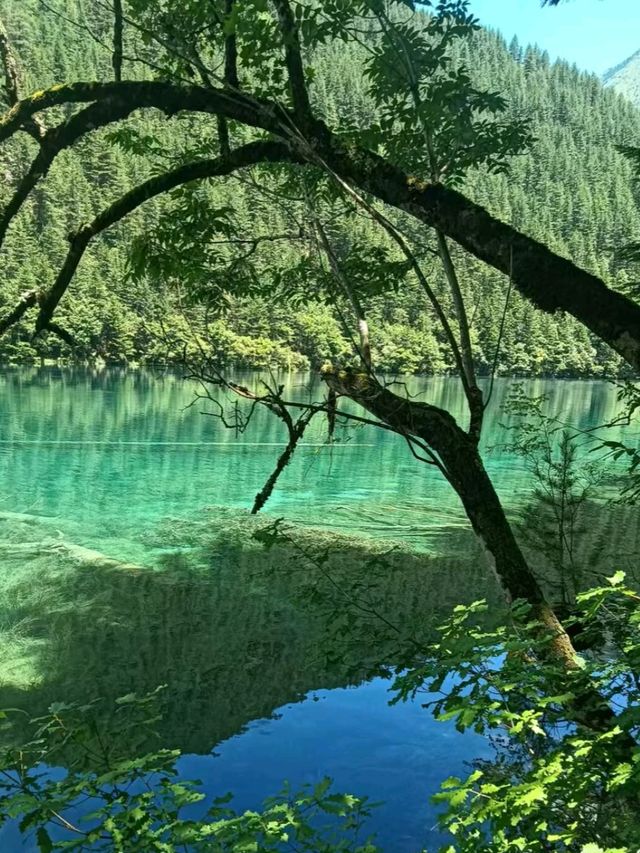Beautiful Jiuzhaigou: Nature’s Painted Valley