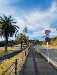 Sajimanooka Park - spacious green park 