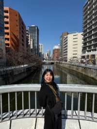 🇯🇵 Meguro River