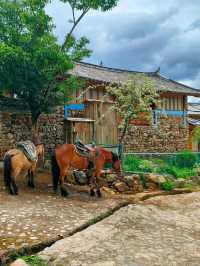 Stepping Back in Time at Yuhu Village