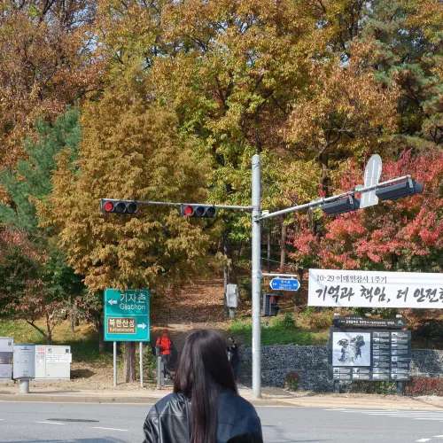서울에서 가을 단풍 구경 계획 공유🍁🌿🍂🇰🇷