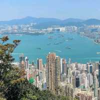 Taking in the Stunning Views from Victoria Peak