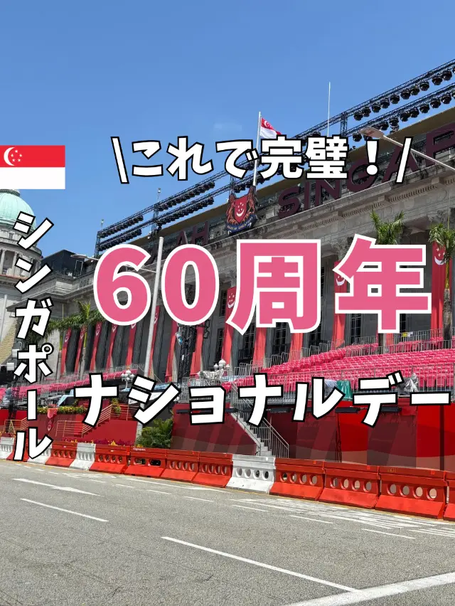 This is perfect! How to enjoy Singapore National Day